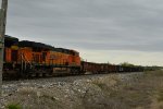 BNSF 6156 Roster shot